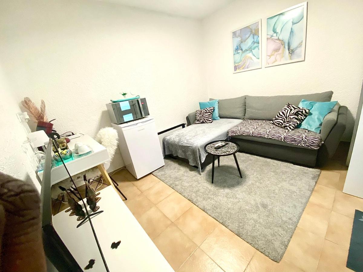 Top Apartment Saarbruecken City المظهر الخارجي الصورة